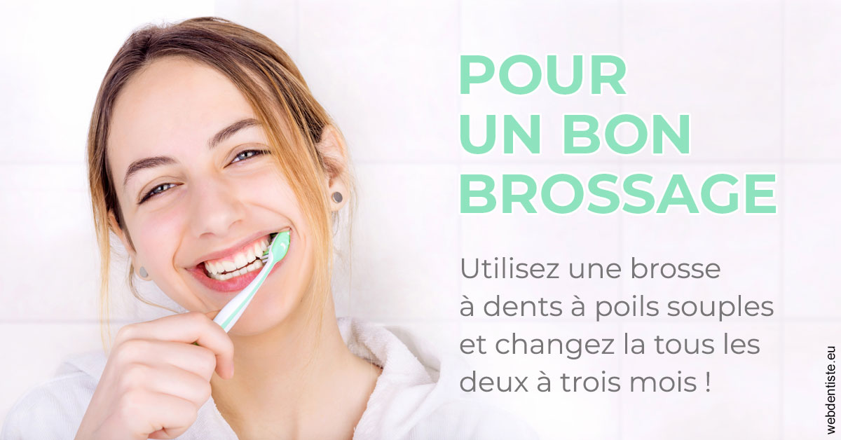 https://www.dentistes-haut-lac.ch/Pour un bon brossage 2