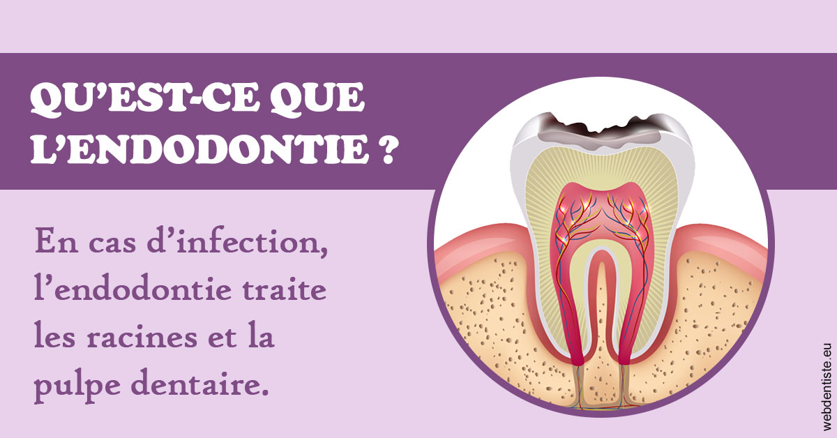 https://www.dentistes-haut-lac.ch/2024 T1 - Endodontie 02