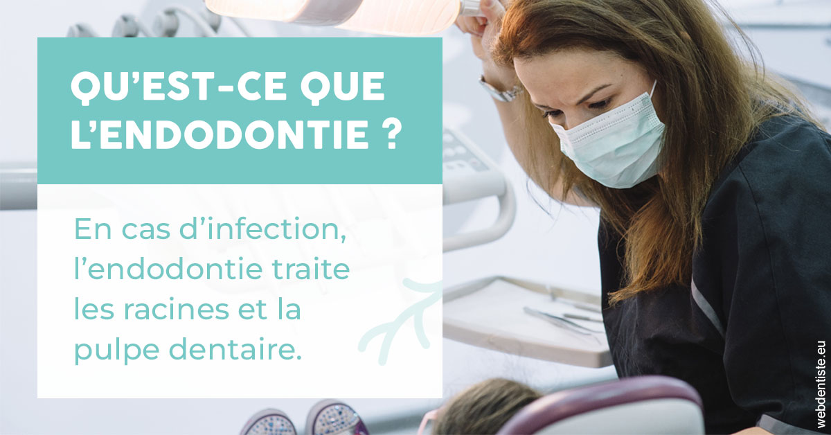 https://www.dentistes-haut-lac.ch/2024 T1 - Endodontie 01