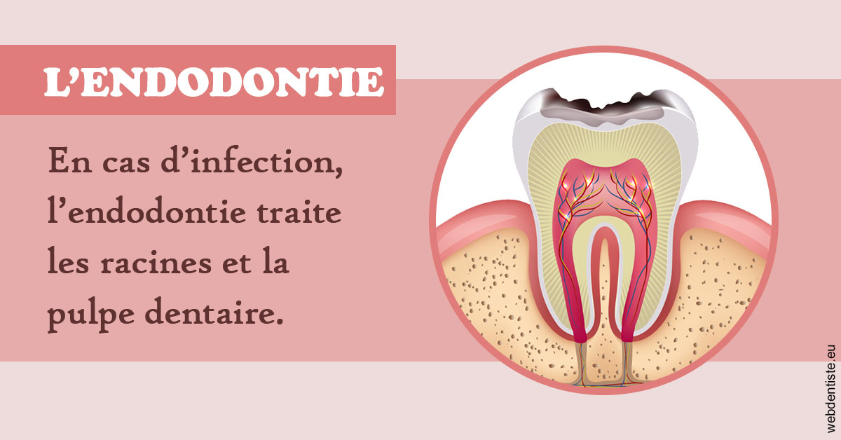 https://www.dentistes-haut-lac.ch/L'endodontie 2
